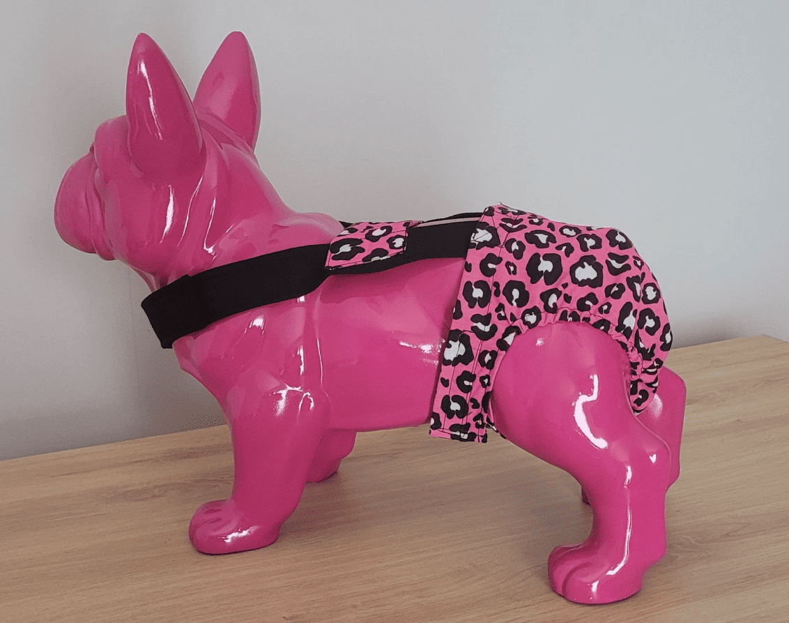 Culotte à bretelles sur mesure pour chien – Maintien parfait et confort garanti – Image 6