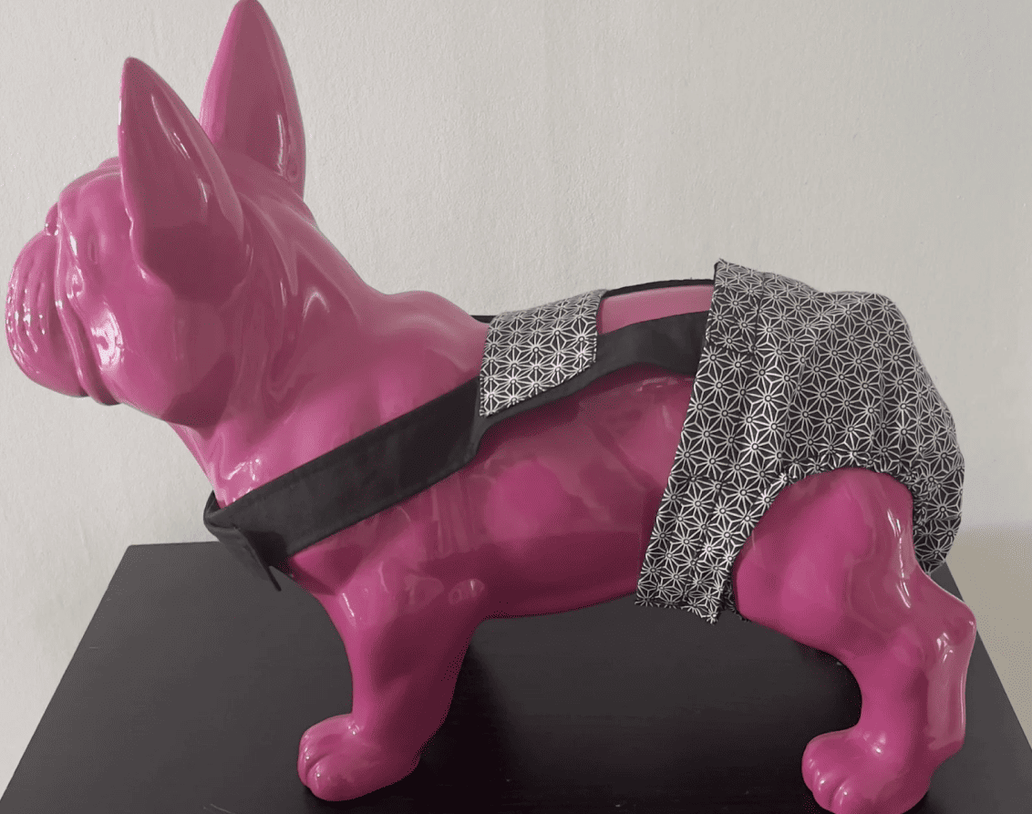 Culotte à bretelles sur mesure pour chien – Maintien parfait et confort garanti – Image 7